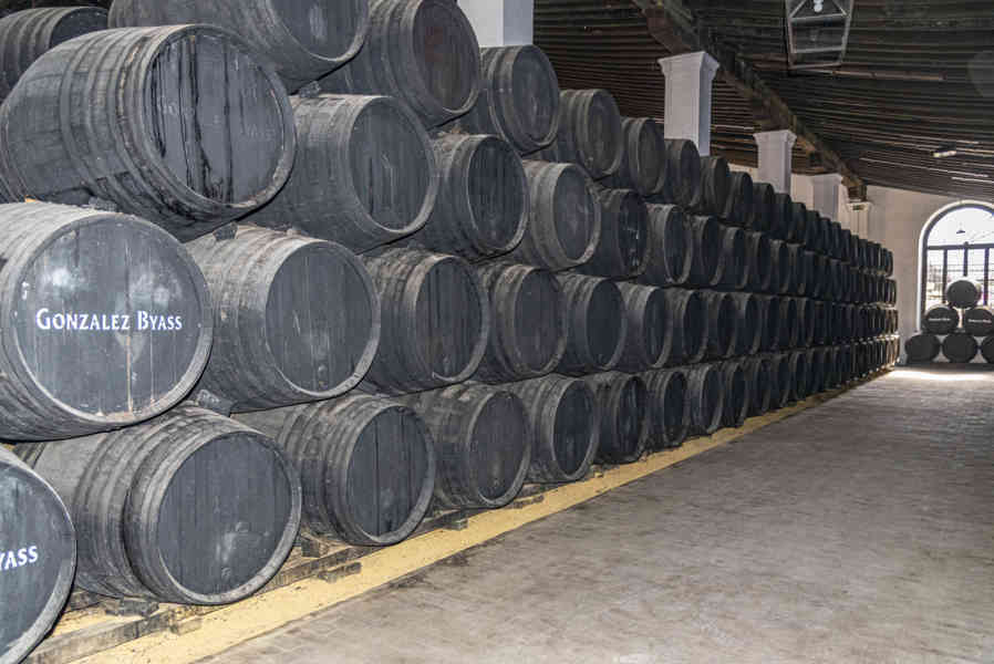 Cádiz - Jerez de la Frontera 56 - bodegas Gonzalez Byass.jpg